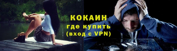 индика Абинск