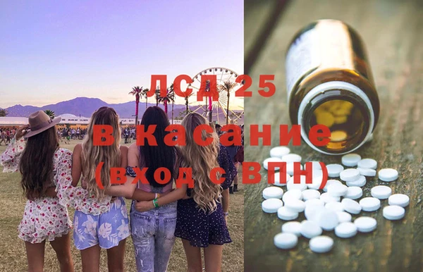индика Абинск