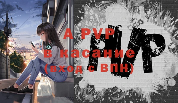 индика Абинск