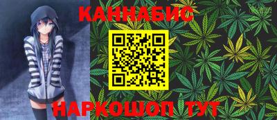 крисы Кингисепп