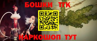крисы Кингисепп