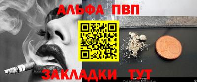 крисы Кингисепп