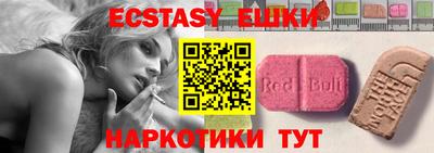 крисы Кингисепп