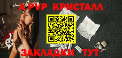 крисы Кингисепп