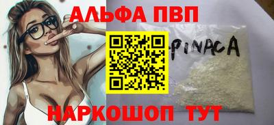 крисы Кингисепп