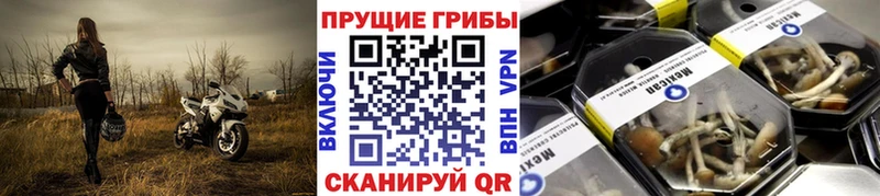 купить наркоту  Конаково  Галлюциногенные грибы Magic Shrooms 