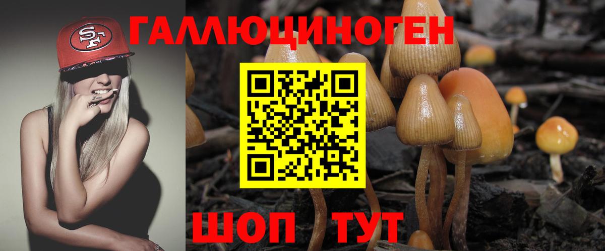 Псилоцибиновые грибы ЛСД Конаково