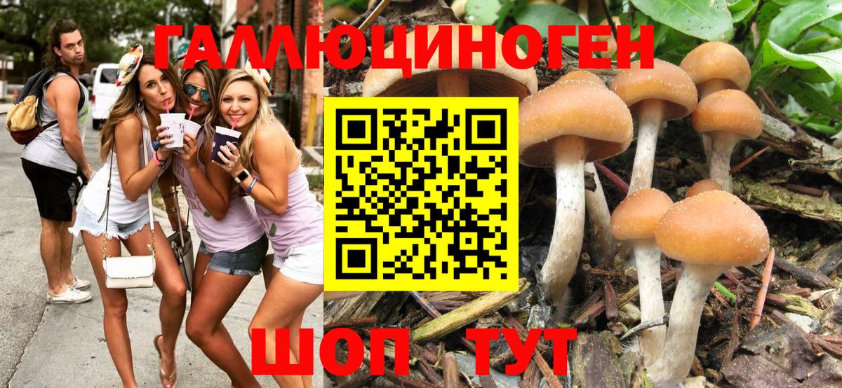 Конаково  Псилоцибиновые грибы Magic Shrooms  купить наркоту  Вход с VPN 
